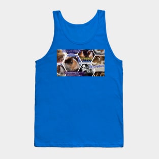 FurScriptions Raya and Sisu Tank Top